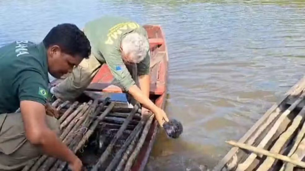 Rio Cuniuá recebe operação contra pesca predatória
