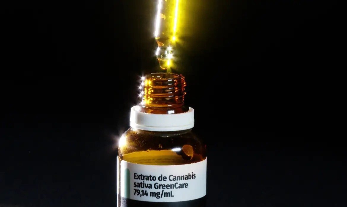 Autorizações de cannabis crescem 29% no Brasil